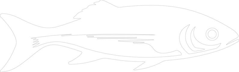 herring outline