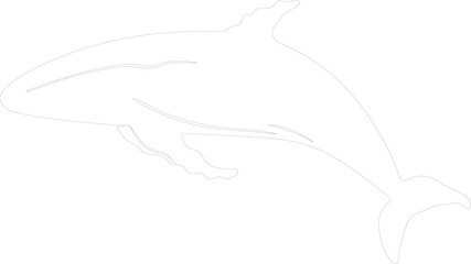 humpback whale outline
