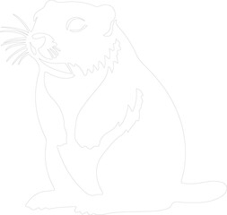Obraz premium hyrax outline