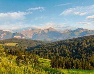 Summer evening mountain village outskirts with blossoming field and Tatra range behind (Gliczarow...