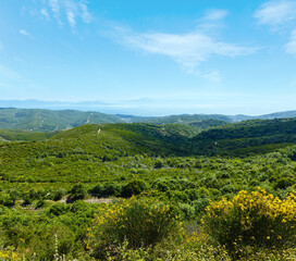 Obraz premium Summer view of the Aegean Sea from the top of the hill (Greece)