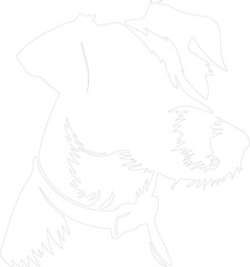 Obraz premium Jack Russell terrier outline