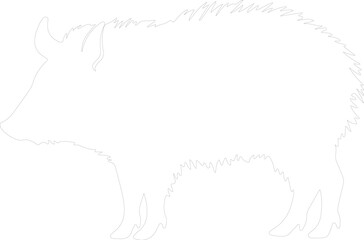 Fototapeta premium javelina outline
