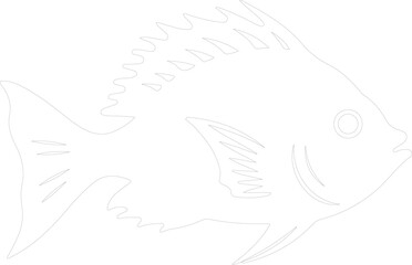 Fototapeta premium John Dory outline