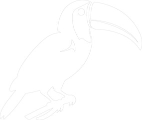 keel-billed toucan outline