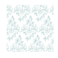 Hand drawn Aquilegia flower. Continuous line on a transparent background.