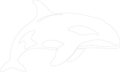 Obraz premium killer whale outline