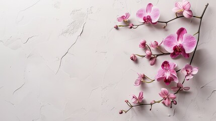 an invitation mockup adorned with delicate orchid flowers in a flatlay arrangement, featuring soft light colors for an exquisite aesthetic.