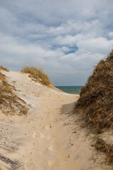 beach access to the ocean from the sand dunes