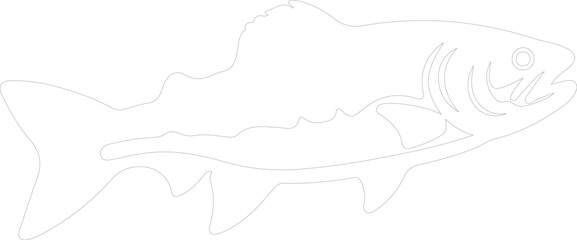 lake trout outline