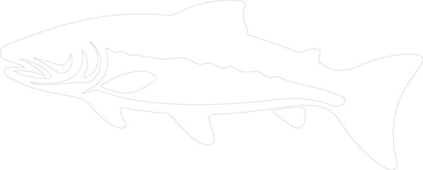 Fototapeta premium lake trout outline