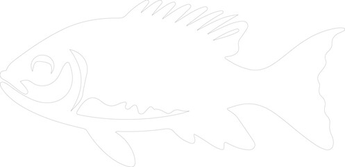 Fototapeta premium lanternfish outline
