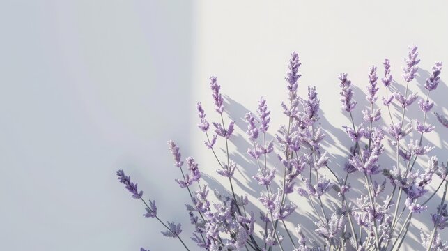 digital lavender background, white mockup, copy and text space, 16:9