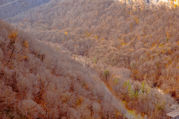 Caucasus mountains covered with forest in late autumn. The beauty of nature, natural landscape