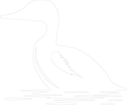 recommend clip art: loon outline