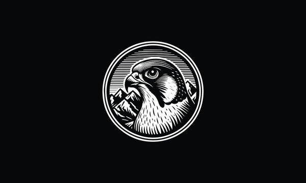 Peregrine falcon, peregrine head, peregrine falcon head design, peregrine falcon head design logo, peregrine falcon head design logo circle 