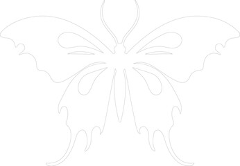 luna moth outline