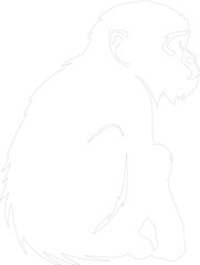 macaque outline