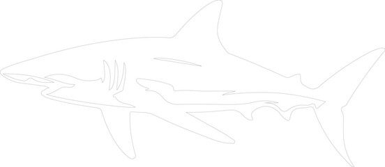 Obraz premium mako shark outline