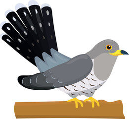 Common cuckoo bird on branch, cartoon illustration isolated on white background. Flat style character for kids.