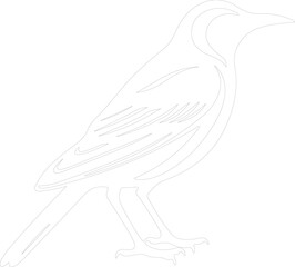 meadowlark outline