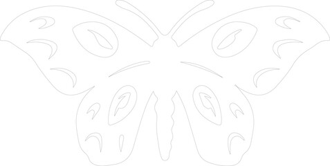 moth outline