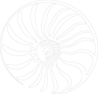 recommend clip art: nautilus outline