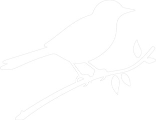 nightingale outline