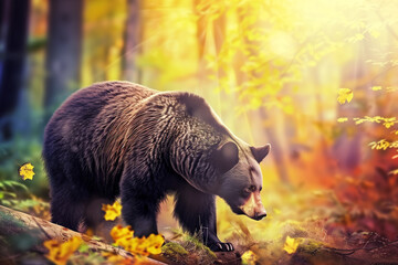 A bear meanders through a sun-dappled forest, with golden light casting a warm glow over the autumnal scene