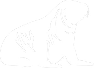 northern elephant seal outline