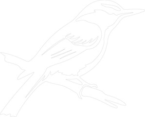 Obraz premium nuthatch outline