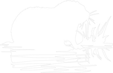 nutria outline