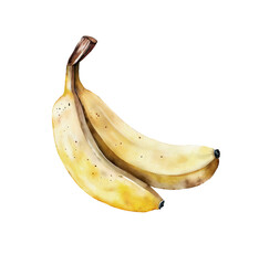 Watercolor illustration of two yellow bananas isolated on a white background. Hand painted.