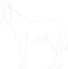 Obraz premium onager outline