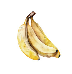 Watercolor illustration of three yellow bananas isolated on a white background. Hand painted.
