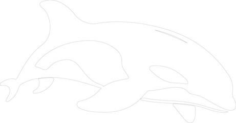 orca outline