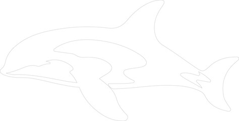 orca outline