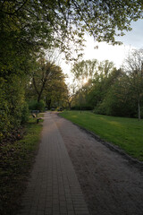 North German Park at sunset