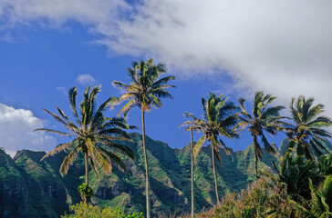 Fototapeta na wymiar Koʻolau Range