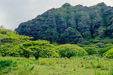 Naklejka premium Koʻolau Range