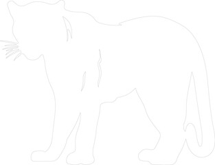 panther outline