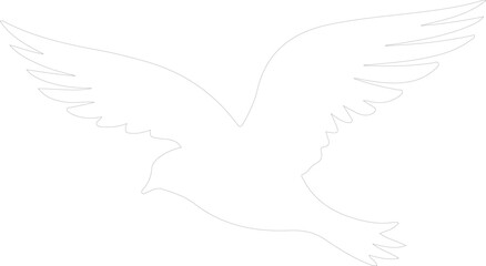 petrel outline