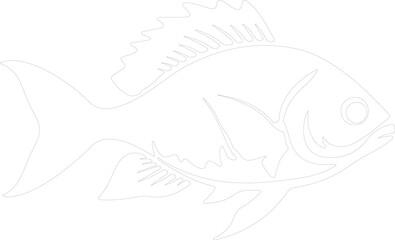 Fototapeta premium piranha outline