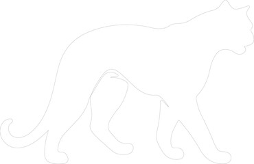 Obraz premium puma outline