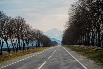 a straight asphalt scenic road to the mountains with a view of the snow-capped tops of the mountains and a blue sky with clouds and along the road there are autumn bare sad sad trees