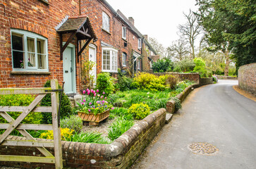 Terrace of English cottages in Invinghoe in Buckingham shire with flowers in front gardens