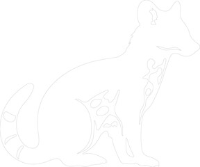 quoll outline