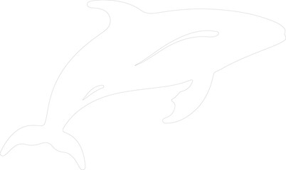 Obraz premium right whale outline
