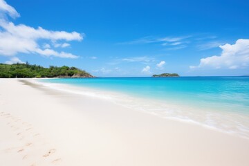 Fototapeta na wymiar Pristine Tropical Beach with Clear Blue Water