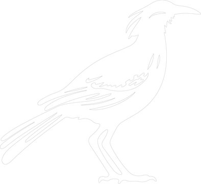 recommend clip art: roadrunner outline